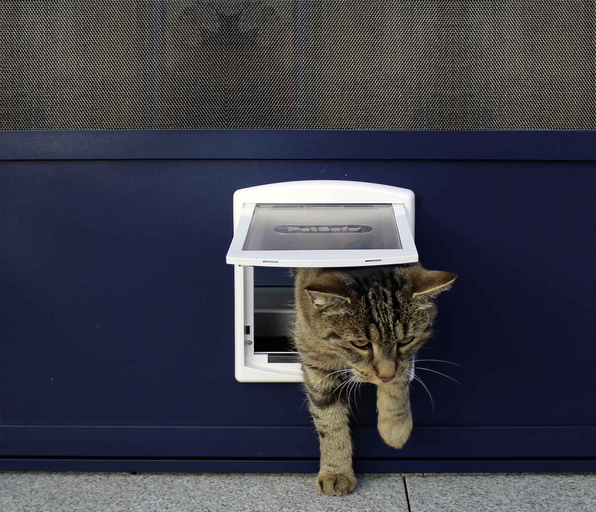 Katze steigt durch eine Katzenklappe